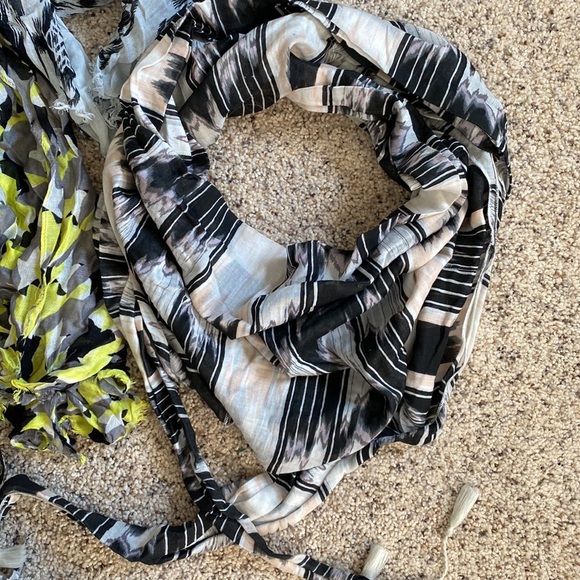 Express Fashion Scarf Bundle of 3 - Picture 9 of 11